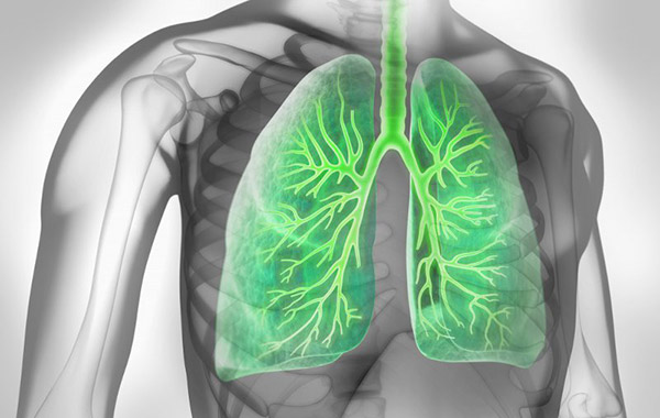 asthma-bronchiale.jpg